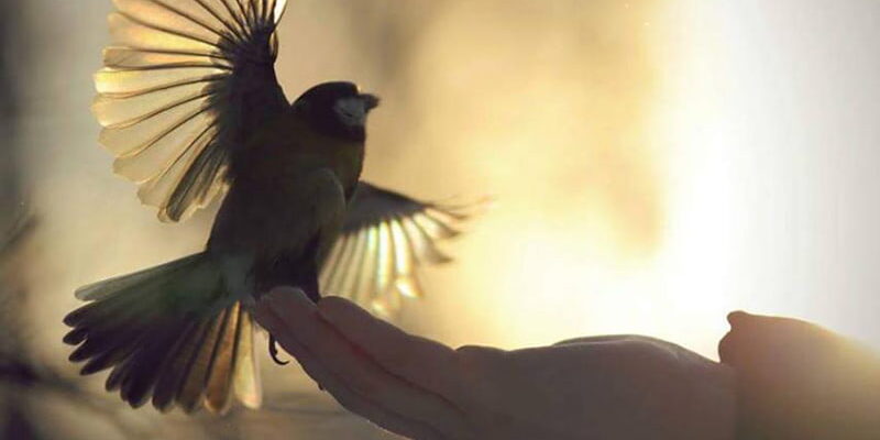 Костел на Ольшанке в Гродно реколлекции для мужчин 2022 Костел на Ольшанке в Гродно реколлекции для мужчин 2022