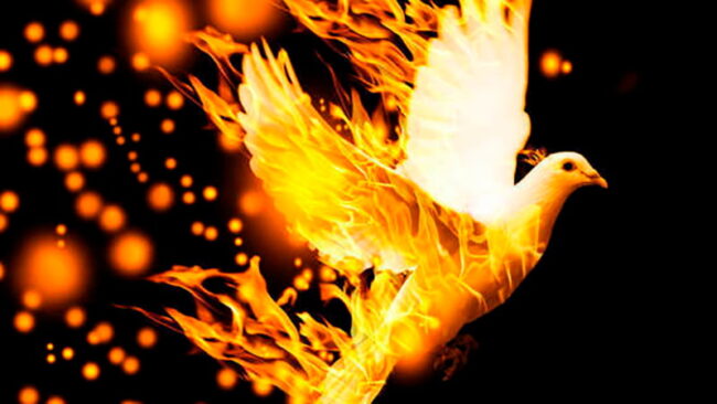 Икона Духа Святого в виде голубя Икона Духа Святого в виде голубя