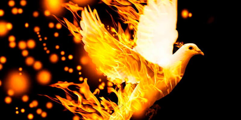 Икона Духа Святого в виде голубя Икона Духа Святого в виде голубя